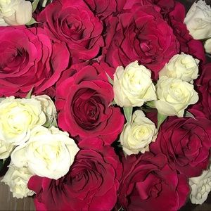 Meet your Posher, Adriana